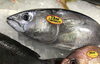 「魚魚市場鮮魚コーナーおすすめは「ソデイカ」です♪」