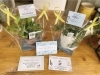 観葉植物「6月16日(日)父の日💛💙父の日の贈り物で観葉植物も人気です🪴【越前市/花屋/生花/フラワーアレンジメント/ふるーれ・T】」