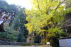 岩倉八幡神社「紅葉探して哲西方面へ！」