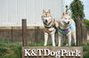 K&T DogPark