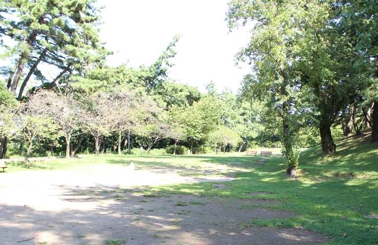 寺尾中央公園 新潟市の公園特集 まいぷれ 新潟市 寺尾中央公園 新潟市の公園特集 まいぷれ 新潟市