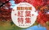 紅葉特集【諏訪市・茅野市・岡谷市・下諏訪町・富士見町・原村