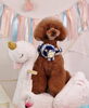 「Anniversary  photo　(^O^)／」