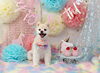 smile「Anniversaryphoto　(*^-^*)」