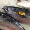 「魚魚市場鮮魚コーナーおすすめは「天然ぶり」です」