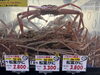 「2/11(水)から超特価スタート❗️🦀」
