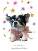 「Dog salon mofu mofu　余市町」