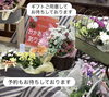 「5月10日は母の日⋆⸜🌷⸝‍⋆」
