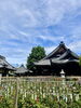 風鈴まつり「本日の境内の様子です」