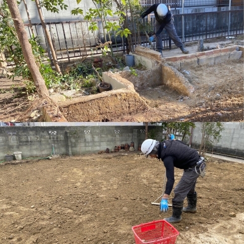 ♪ステキな果樹園のため小石も手作業でお片付け♪「♪夢の果樹園のための古家の解体工事です♪　【伊丹の建物解体・内装解体・店舗改修・遺品整理・生前整理】」