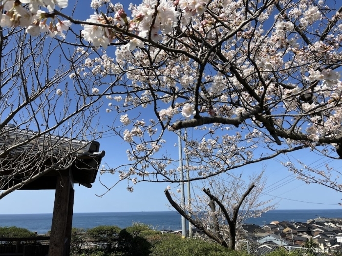 名和公園  大山町名和