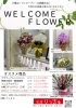 「【泉佐野市、貝塚市、熊取町で】プレオープンや内覧会やお披露目会に贈るお花、飾るお花をお探しの方にオススメの花屋りっちゅ情報」