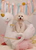 「Anniversary photo　(^O^)／」