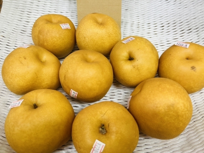 3.新高（にいたか）「美味しい梨の季節ですね♪【宮崎市清武の青果店】」