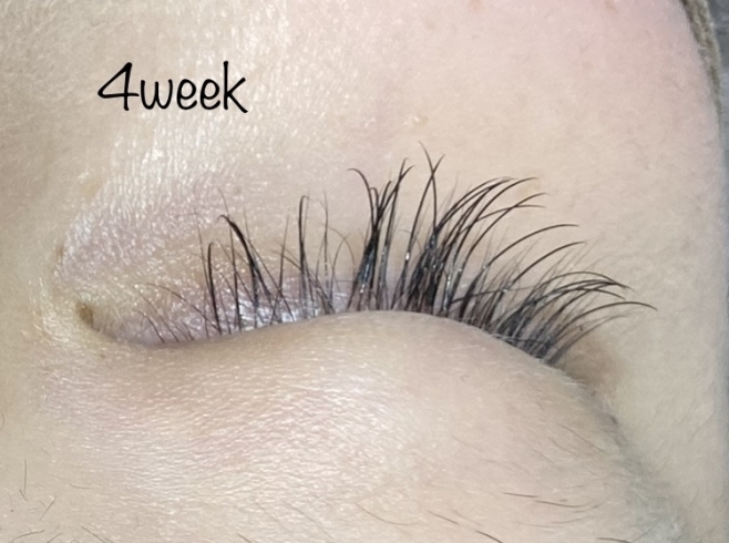 仕上がりが良くモチが良い接着剤 四国中央市 まつ毛エクステ まつ毛パーマ マツエク Eyelashsalon Ayaのニュース まいぷれ 四国中央市 仕上がりが良くモチが良い接着剤 四国中央市 まつ毛エクステ まつ毛パーマ マツエク Eyelashsalon Ayaのニュース まいぷれ 四国中央市