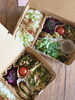 心と体が喜ぶ季節の恵み弁当「お魚？お肉？気分でえらべる春の薬膳弁当」