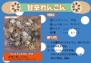 1週間1000円生活 レンコンと米だけで1週間生き延びられるのか 稲敷1000円アクティビティーvol 2 地域おこし協力隊発信 稲敷1000円アクティビティー まいぷれ 龍ケ崎市 稲敷市 美浦村 河内町