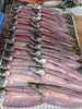 「📣本日のお魚情報🐟」