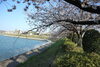 琵琶ヶ池公園