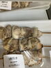 割引き「お惣菜火曜日割引き」
