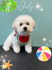 「お友達♡ Dog salon mofu mofu 余市町」