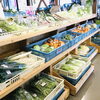 「【産直コーナー】冬野菜、続々入荷中！」