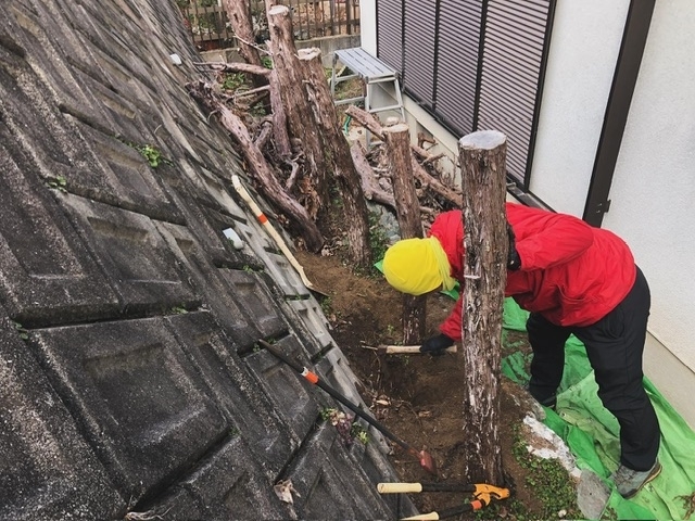 石積み花壇を崩さないように慎重に掘り取りをしました「川西市でお庭の木の抜根をしました！」