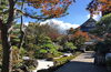 「【2024年】紅葉スポットまとめ 掲載しました！」