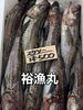 「本日も営業致します」
