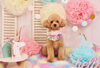 「Anniversary photo　(^O^)／」