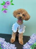 「Dog salon mofu mofu　余市町」