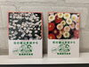「クリサンセラム」と「アスター」　の種「全国都市緑化ふなばしフェア 花壇コンテスト入賞作品が船橋市役所で展示」
