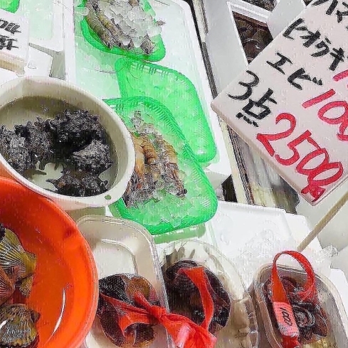 「魚魚市場鮮魚コーナーおすすめは「北海道産ホタテ」です♪」