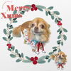 「Dog salon mofu mofu　余市町」