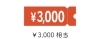 3,000円クーポン