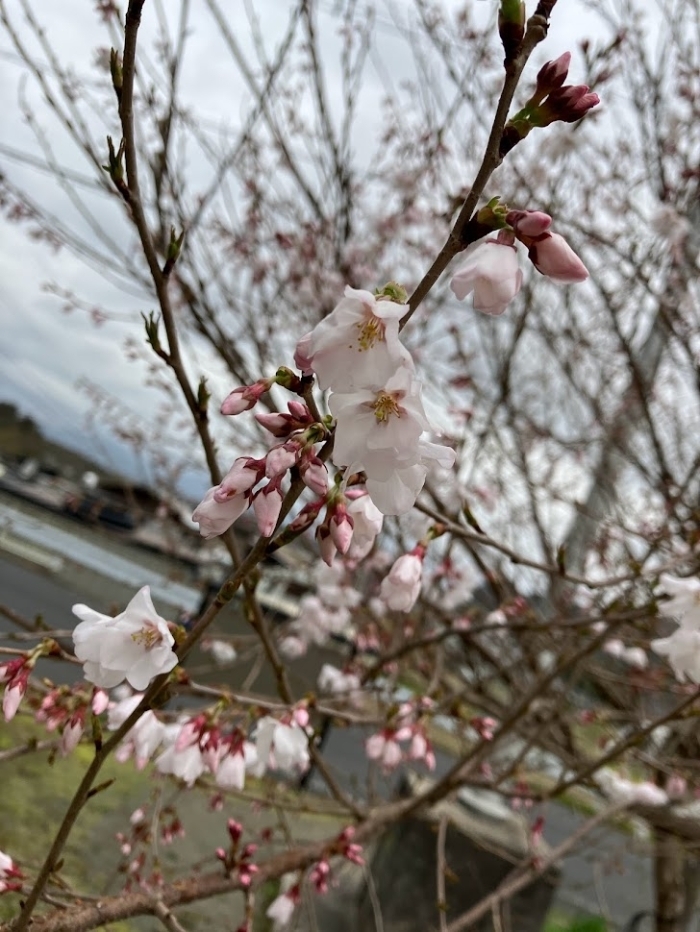 神魂神社