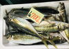 「魚魚市場鮮魚コーナーおすすめは「スマ(ヤイトカツオ)・オジサン・オオアジ」です♪」