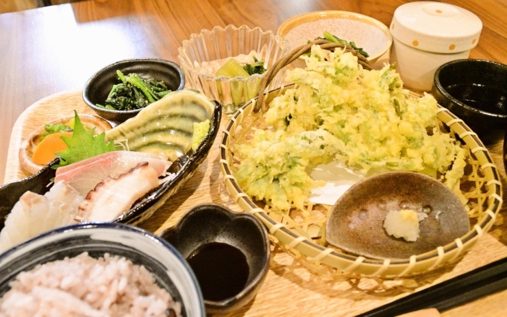 港町 酒食屋 はじめ 三原 新店オープン情報 まいぷれ 三原市