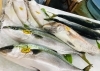 西海物産館 魚魚市場鮮魚コーナーおすすめは レンコ鯛 入荷しました 魚魚の宿のニュース まいぷれ 佐世保