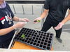 大切な苗を丁寧に受け渡し「急な定植もみんなで分担！農園で育む「困ったときに相談できる力」🍓🌱」