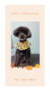 「Dog salon mofu mofu　余市町」