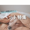 【保存版】愛犬・愛猫との毎日を豊かに。ペットライフ応援ガイド（和泉・岸和田・貝塚・熊取）