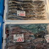「魚界隈もアツい‼️ 色んな魚が入ってくるとワクワクすっぞ😁✨」