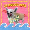 「Dog salon mofu mofu　余市町」