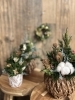 ミニクリスマスツリー「クリスマスワークショップ🎄アロマフラワーサシェ作り🎄11/16(日),22(土)開催✨」