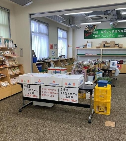 「年末年始向け歳末魚市開催中！雨竜道の駅　田園の里うりゅう」