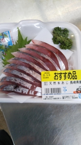 「【本日のおすすめ桂の鮮魚店　桂魚伊】」