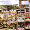 豊明花き地方卸売市場