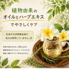 「🌿新メニュー『ハーブオイルスパ』が仲間入りしました✨️本格的な夏に向かうなかで、まずは頭皮と心をゆるめませんか？🌿」