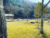 「4月になりました」